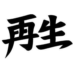 The Phoenix | Rebirth | Heavyweight |Graphic Hoodie