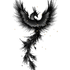 Black feathered Phoenix Rising Graphic design on a white background